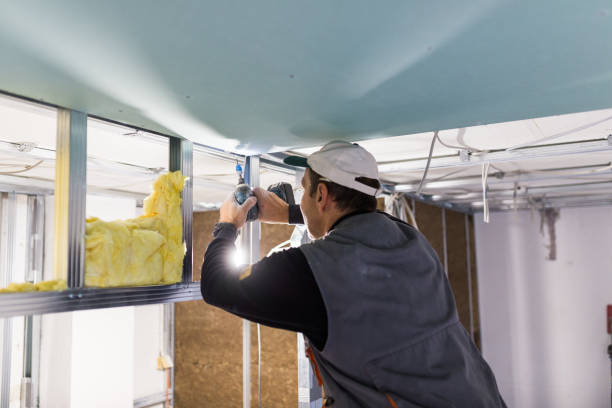 Best Cellulose Insulation in Sneads Ferry, NC