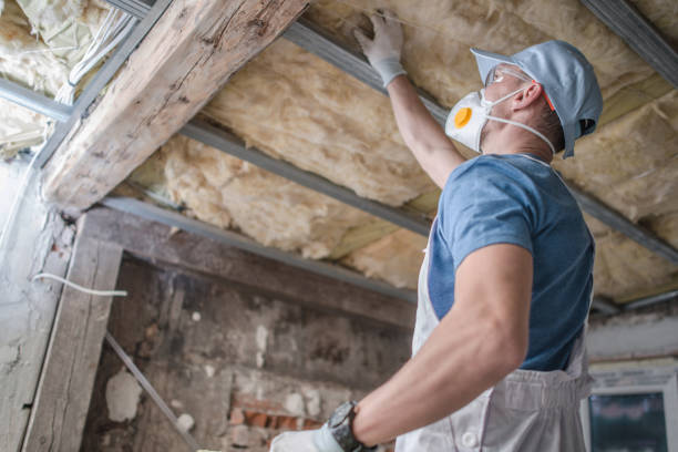 Trusted Sneads Ferry, NC Insulation Contractor Experts