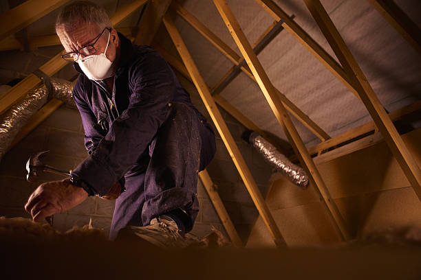 Types of Insulation We Offer in Sneads Ferry, NC